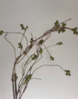 Faux moss twig spray with small green clusters, Bungalow Furniture, 36 inches, adds a wintry accent to pale walls.