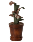 The Maileg Furniture by Maileg features a cute fabric plant with green patterned leaves in a round wooden pot and matching saucer, perfect for dollhouse decor or your Maileg Mouse, shown on a plain white background.