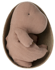 The Maileg Gantosaurus in Egg is a soft, brown dinosaur cuddly toy nestled inside a brown egg-shaped container, shown from above on a plain white background.