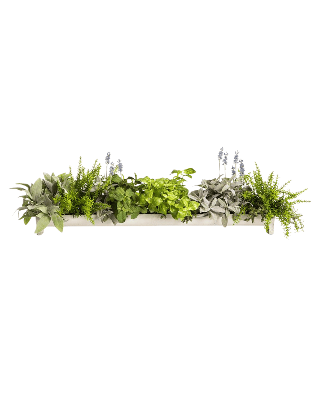 A horizontal arrangement of AllState Floral And Craft&#39;s 13&quot; Sage/Mint/Lavender with different textures and shades, isolated on a white background in Scottsdale, Arizona.