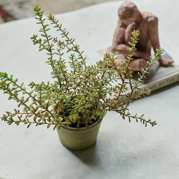An Abigail Ahern Artificial Burrito Sedum in a pot sits on a light surface, while behind it, a sculpture of a person atop a closed book enhances the peaceful, charming plant care scene.
