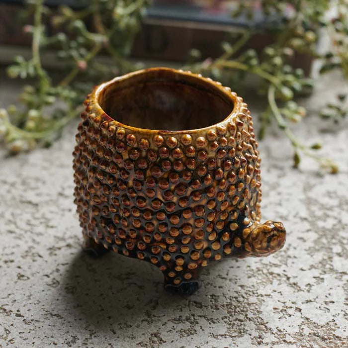 The Abigail Ahern C13-004 Tortoise Small Pot, a textured ceramic planter with a bumpy brown finish and tortoise head detail, sits on stone with greenery blurred in the background.