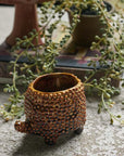 The Abigail Ahern C13-004 Tortoise Small Pot, a textured brown ceramic planter with three legs and a tail-inspired handle, rests on stone, framed by leafy greenery and a stack of books in the background.