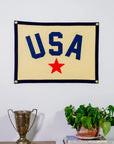 An 18x24 USA Camp Flag by Oxford Pennant with bold blue "USA" and a red star hangs on a white wall. Below, a silver trophy, some books, and a green potted plant complete the shelf’s home decor.
