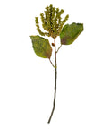 The Indaba Dripping Seed Stem is a green faux botanical featuring lush leaves and clusters of small yellowish-green buds at the top, showcased against a white background.