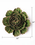 The Avocado Green Rozella Peony by Chive Ceramics (thru Faire) is shown from above with brown-tipped succulent leaves, surrounded by a large glazed ceramic flower. Labeled measurements show it’s 5.5 inches wide and 5.5 inches tall.