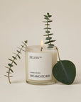 A lit Faire Below 60 Candle stands beside eucalyptus branches and a large eucalyptus leaf on a neutral background.