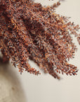 Autumn grain spray with needle-like leaves from Faire, ideal for textured home decor at Bungalow Furniture & Accessories.