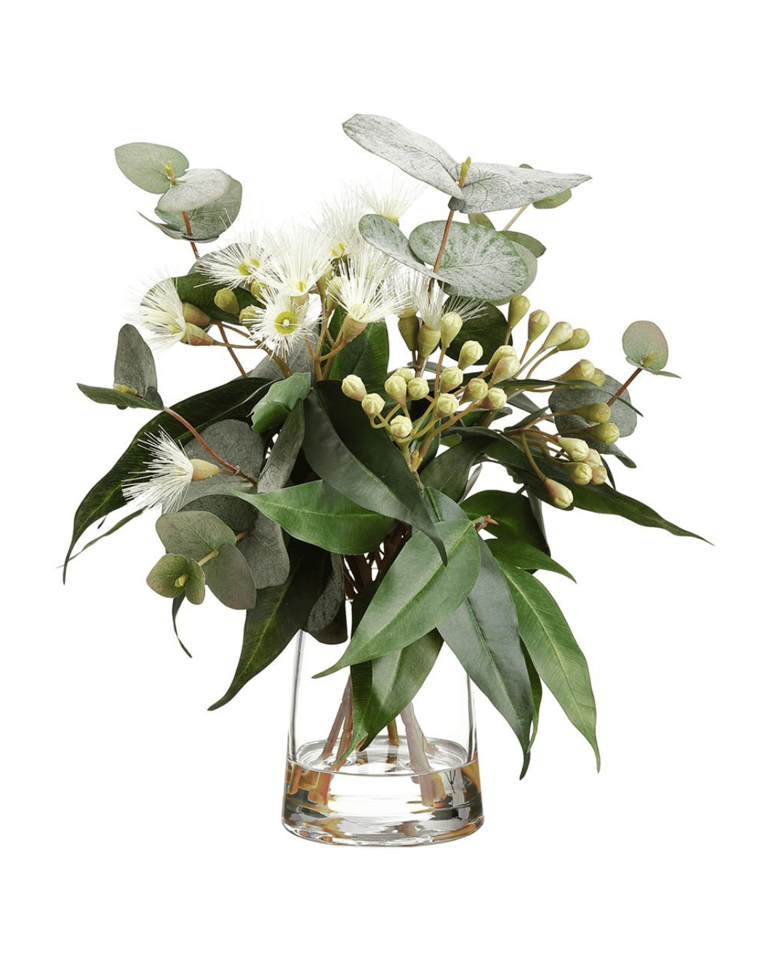 A vibrant arrangement of the AllState Floral And Craft 14&quot; Eucalyptus in Glass Vase, isolated on a white background, perfect for a Scottsdale Arizona bungalow.