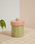 The Margot Canister by Accent Decor, featuring hand-painted green and white vertical stripes and a round pink lid, rests on a grid-tiled surface with a green plant leaf visible to the left.
