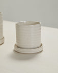 The Morse Pot w/Saucer by Accent Decor features a textured, off-white ceramic design with subtle vertical ridges and a slightly glossy finish, resembling an elegant orchid planter and includes a matching round saucer.