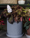 A leafy potted plant in a gray planter features the White Spore Plant Stick by Accent Decor, a white ceramic accessory with a toadstool design and brown spots nestled among red and green leaves; other plants appear behind.