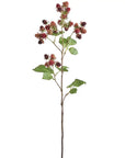 The Faire Faux Raspberry Stem features a tall stem with clusters of realistic red and dark purple berries, green leaves, and lifelike detail—perfect for stylish home decor against a white background.