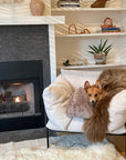 A small brown dog lounges on a cozy armchair draped with the Icelandic Sheepskin from Faire near a glowing fireplace, with shelves of books, pottery, and a potted plant in the background creating a warm, inviting atmosphere.