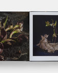 An open book from Hachette Book Group’s "Emily Thompson Flowers" shows a close-up of dark purple and green plants on the left page, and a dramatic, contemporary floral arrangement in a bark-like container on the right.