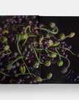 A close-up of green and purple caper berries with stems, artfully arranged atop an open book, evokes the contemporary elegance of Emily Thompson Flowers by Hachette Book Group against a dramatic dark background.