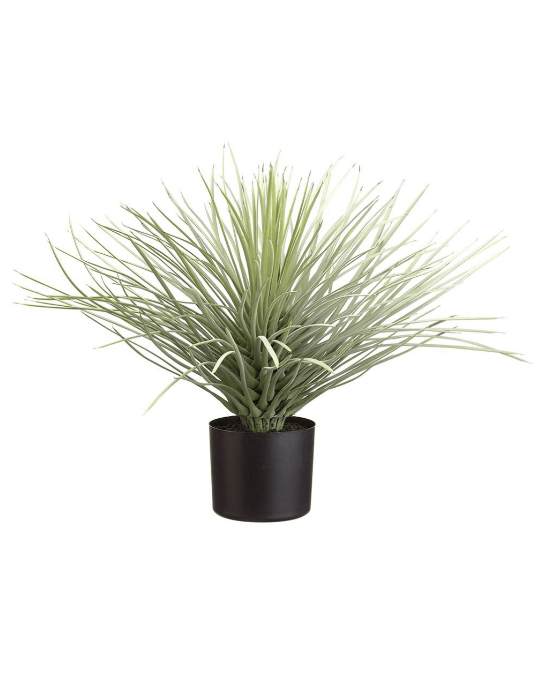 Artificial 19&quot; Whipple Yucca plant with long, thin leaves in a simple black pot, set against a bungalow-style backdrop evocative of Scottsdale, Arizona by AllState Floral And Craft.