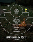 The "Marshmallow Roast" diagram displays scent notes: Top (Lemon, Palo Santo, Clove), Middle (Cedarwood, Tobacco Leaf, Moss), Base (Patchouli, Tonka, Sandalwood). With a campfire backdrop and crafted from soy wax with fine fragrance oils in apothecary amber jars by Faire's Limited For Peanuts™– Standard Candle.