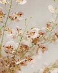 The Faire Wild Orchid Spray features delicate, light pink flowers with red and yellow centers on thin green stems against a neutral background, offering an airy, elegant touch to your home decor with realistic faux blooms.