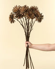 A hand holds Indaba's Dahlia Stem Russet—large, brown faux flowers with long stems—against a plain beige background, making it a stylish decor accent.