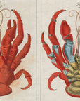 Two vintage scientific illustrations of a red lobster—dorsal and ventral views—highlight anatomical details in bold hues, reminiscent of the decoupage style featured in the John Derian Picture Book by Hachette Book Group.