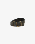 The Bowe Belt by Janessa Leone features dark brown regenerative leather and a rectangular gold buckle, coiled and showcased on a plain white background.