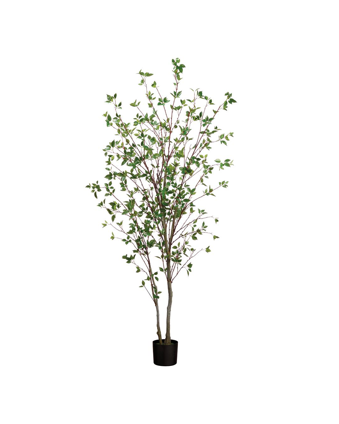 A potted artificial 84" Cornus Tree with many small green leaves, ideal for a Scottsdale Arizona bungalow, standing upright against a plain white background by AllState Floral And Craft.