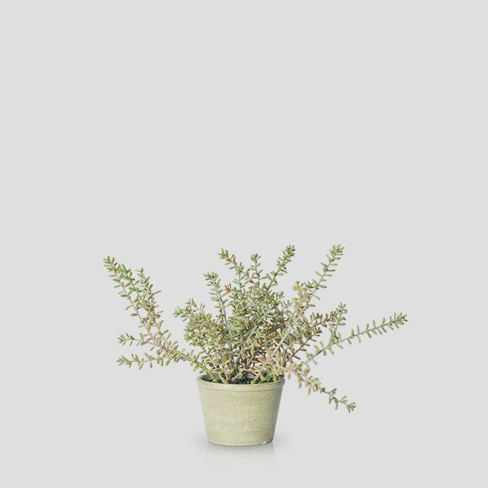 The Abigail Ahern Artificial Burrito Sedum features thin, elongated green leaves and comes in a stylish paper mache pot, presented against a plain light gray background.