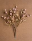 The Pink Melaleuca by Kalalou, Inc features dried wildflowers with rosy pink hues and delicate brown stems, artfully arranged on a plain brown background.