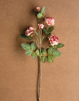 The Garden Rose by Kalalou, Inc features a single pink and white antique bloom with green leaves, laid flat on a simple brown background—ideal for spring arrangements.