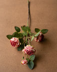A Garden Rose artificial flower stem by Kalalou, Inc features wilted pink and red antique roses with green leaves, displayed on a plain brown surface.