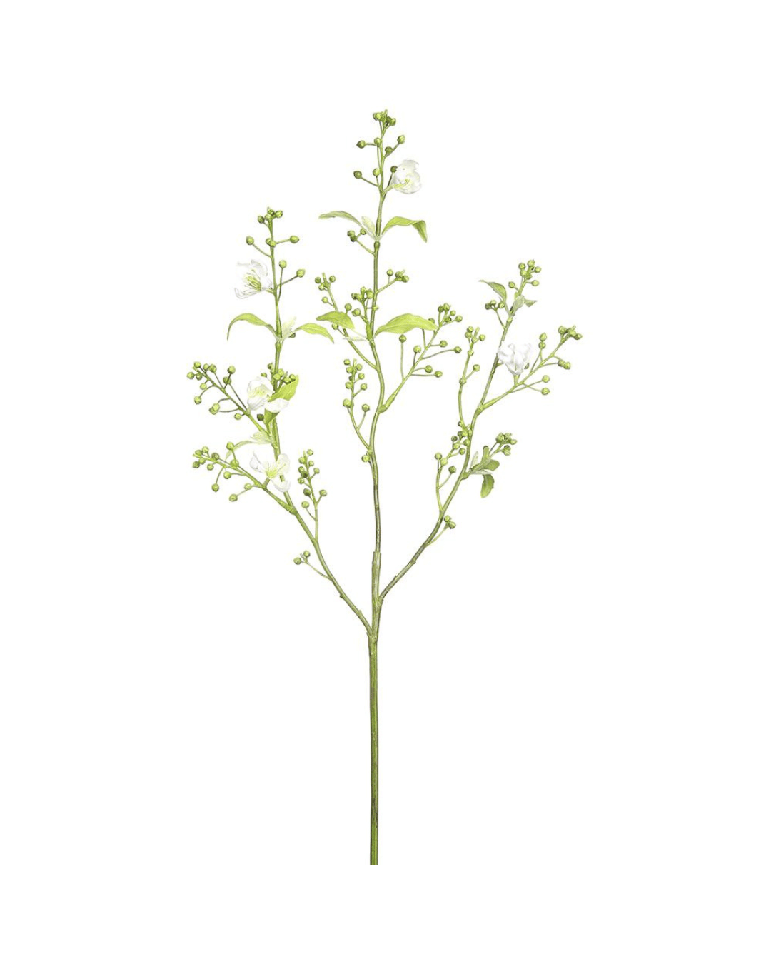 Illustration of a 25.5&quot; Mini Berry Spray With Blossom Green White plant native to Scottsdale, Arizona, with multiple small branches, featuring tiny buds and sparse leaves, isolated on a white background by AllState Floral And Craft.