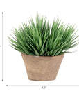The Yucca Terracotta Pot by Natural Decorations Inc. features a potted green plant with spiky leaves in a rustic terracotta pot, UV-protected for outdoor use. It measures 10" tall and 12" wide, with black arrows indicating height and width.