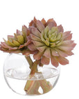 The Succulent Glass Bubble by Natural Decorations Inc. features three glass bowls with realistic succulents, floating in clear water. Lined up on a white background, they provide natural elegance and maintenance-free decor.