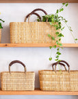 Four Faire Gardener Long Baskets, handcrafted in Morocco from ethically sourced palm leaves, rest on wooden shelves. Two baskets hold green plants, adding a natural touch to the display.