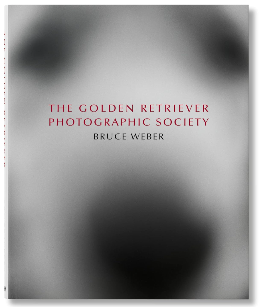 Book cover with the title "The Golden Retriever Photographic Society" by Bruce Weber, featuring a blurred image of a golden retriever in the background. The text is sharp and overlaid centrally on an image of a bungalow published by Ingram Book Company.