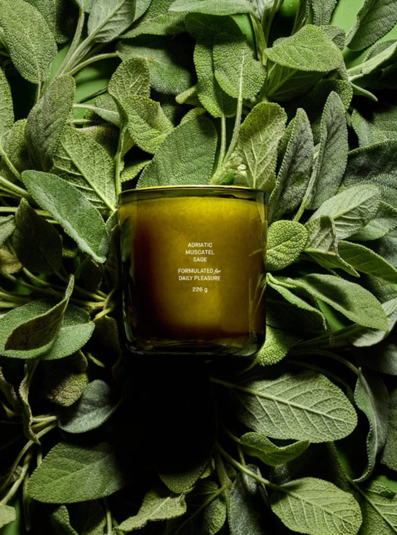 A glass jar filled with golden liquid, labeled &quot;Adriatic Muscatel Sage Candle,&quot; nestled amongst a backdrop of vibrant green sage leaves in Scottsdale, Arizona by Flamingo Estate.