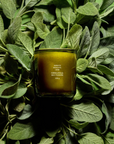 A glass jar filled with golden liquid, labeled "Adriatic Muscatel Sage Candle," nestled amongst a backdrop of vibrant green sage leaves in Scottsdale, Arizona by Flamingo Estate.