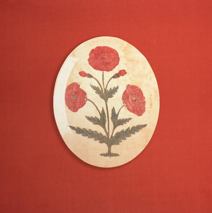 Round decorative Mughal Oval Tray with a floral design featuring red poppies and green leaves on a cream background, displayed against a vibrant red backdrop in a Scottsdale Arizona bungalow.