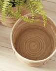 The RATTAN ROUND BASKET by Napa Home & Garden rests on a light wooden floor beside green fern leaves, adding a fresh, youthful touch to interiors with another similar basket visible in the background.