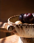 The Kalalou, Inc Rustic Ceramic Compote, filled with dark purple plums and yellow-brown fruits, rests on a wooden surface in warm light. This kitchen decor piece stands out in focus against a softly blurred background.