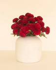Red Dahlia vase with vibrant blooms by Kalalou, Inc. on a beige background, available at Bungalow Furniture & Accessories.