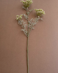 Delicate white lace flower spray by Kalalou, set against a warm brown background for Bungalow Furniture & Accessories.