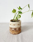 The Mkongo Plant Basket by Amsha - Faire features a small green leafy plant in a round, woven basket inspired by Rwanda baskets, showcasing natural and brown tones on a light textured surface with a plain white background.