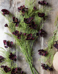 Abigail Ahern's Cosmos /Burgandy artificial flowers, featuring dark purple blooms and green feathery foliage, are displayed on a rustic wooden surface beside a beige ceramic vase and burlap fabric.