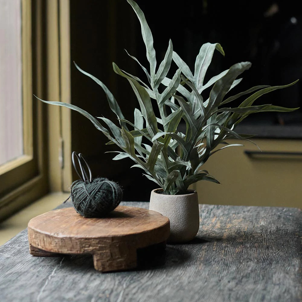 An Abigail Ahern Artificial Eucalyptus in Pot and a ball of dark green yarn with scissors sit on a rustic wooden table near a window bathed in natural light.