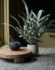 An Abigail Ahern Artificial Eucalyptus in Pot and a ball of dark green yarn with scissors sit on a rustic wooden table near a window bathed in natural light.