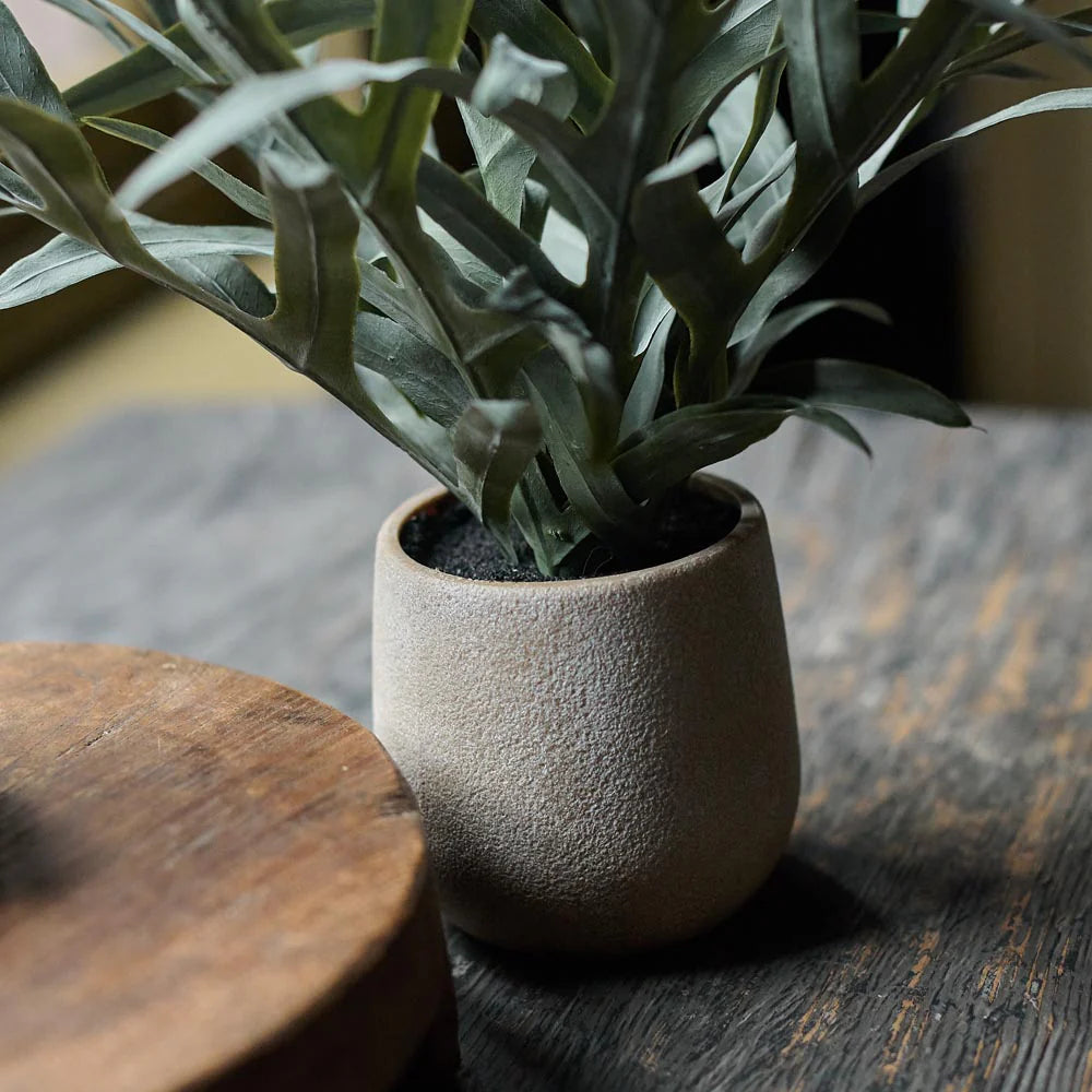 The Abigail Ahern Artificial Eucalyptus in Pot features lush green leaves in a small, textured beige pot on a dark wooden surface, accompanied by part of a round wooden object for an elegant, low maintenance display.
