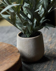 The Abigail Ahern Artificial Eucalyptus in Pot features lush green leaves in a small, textured beige pot on a dark wooden surface, accompanied by part of a round wooden object for an elegant, low maintenance display.