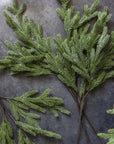 Sprigs of green, needle-like Abigail Ahern Foxtail Pine branches are displayed on a dark gray stone surface, with a portion of a round wooden object visible in the lower right corner.